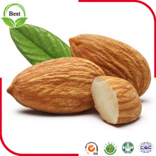 Raw Almonds Nuts Delicious and Healthy Shelled Almonds